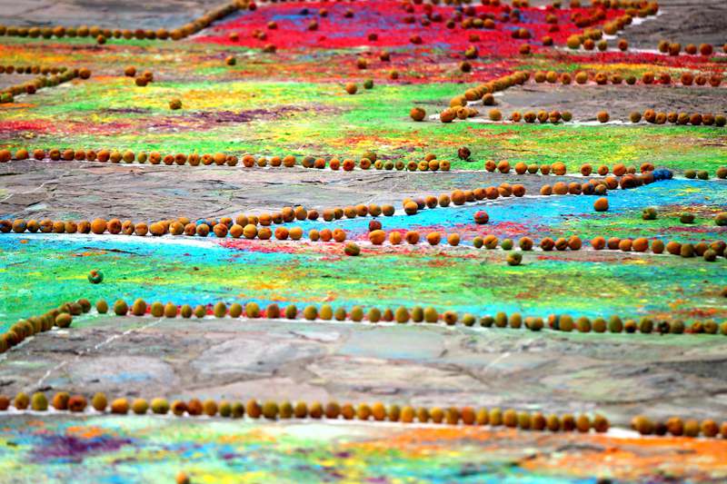 旅游日：丹江民众千斤山杏描绘519平米多彩“幸福”